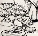 Smalltree