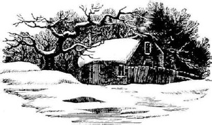 Breefarm