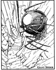 Spider2