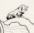 Snowlion