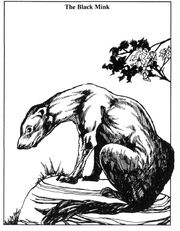 Mink2