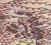 Azan