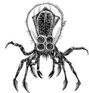 Crabsquid