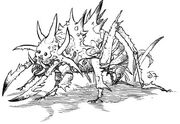 Insect