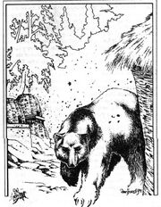 Bear