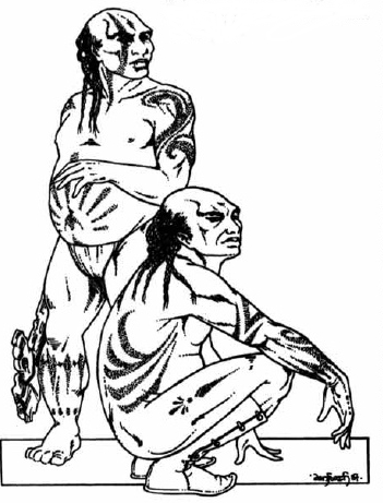 Drughu