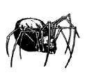 Spider1