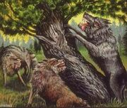 Wargs2