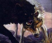 DireWolves2