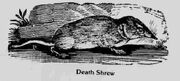 Deathshrew