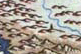 Shabarch