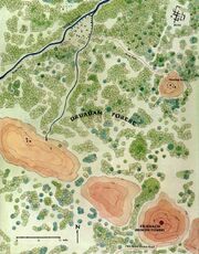 Druadanforest