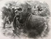 Lotr01270