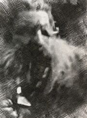 Thrain2