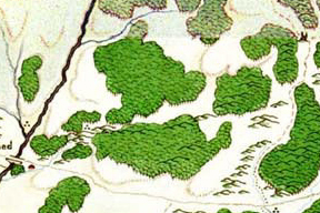 Trollwood