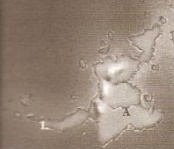 Aorbis