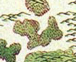 Skullwood
