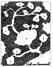 Cirithauris