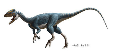 Guanlong Raul