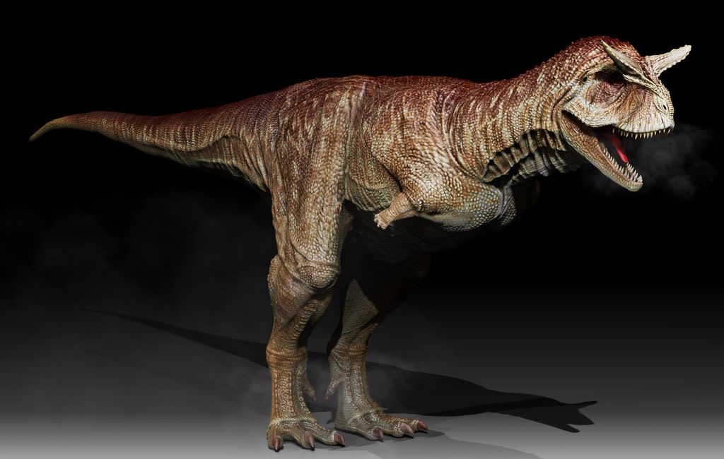 Image result for Carnotaurus