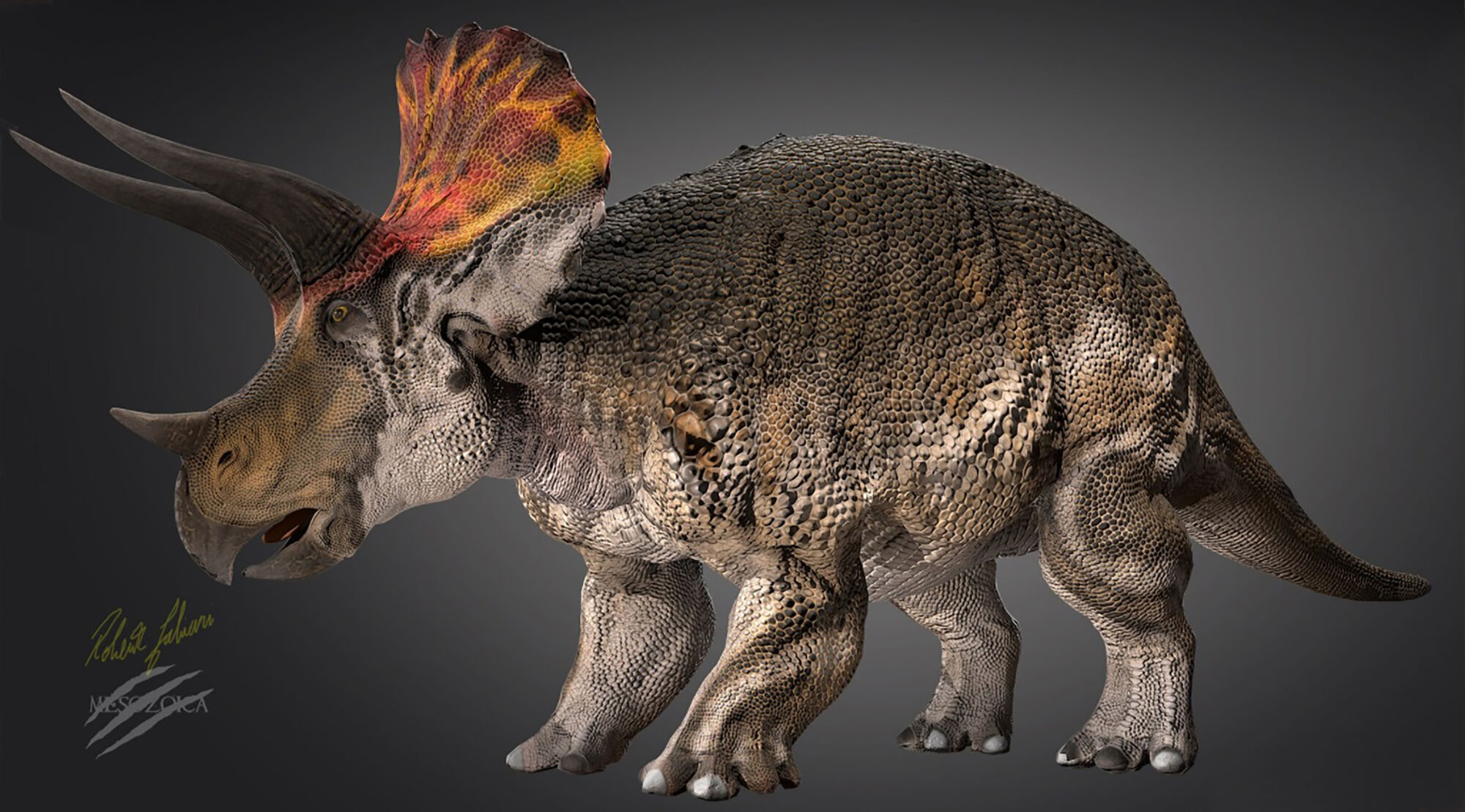 triceratops 33