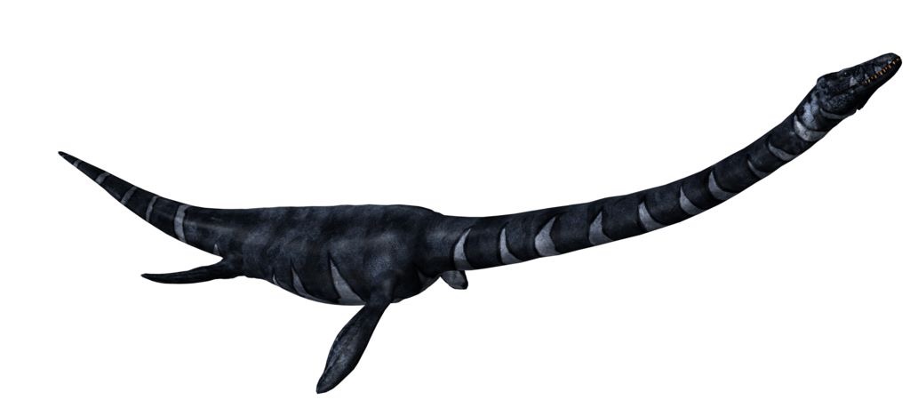Plesiosaurus | Mesozoica game Wikia | Fandom