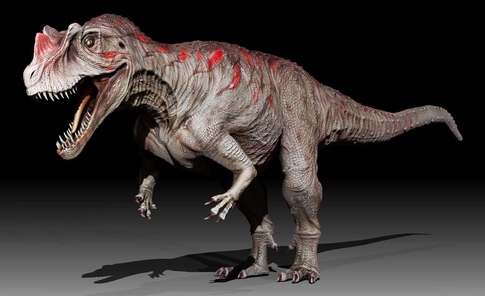 ceratosaurus dinosaur