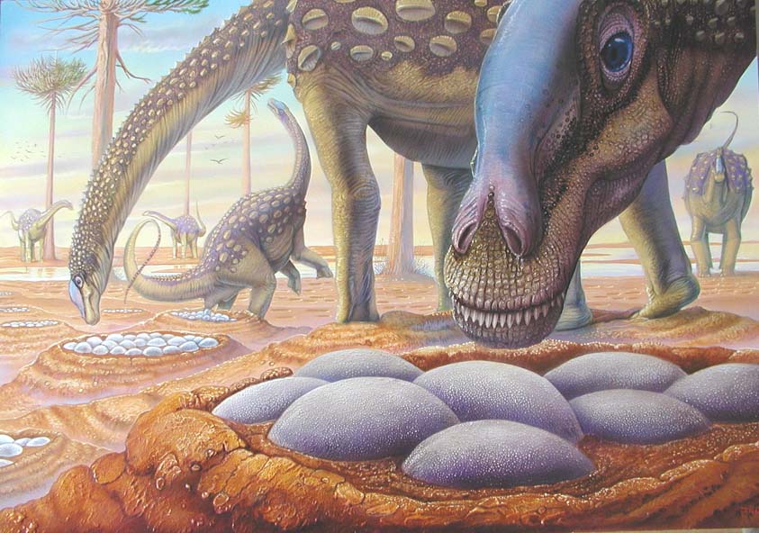 saltasaurus fossil