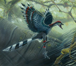 Archaeopteryx | Mesozoic Era Wiki | FANDOM powered by Wikia