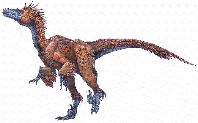 Deinonychus Mesozoic Era Wiki FANDOM powered by Wikia