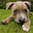 Zackard4's avatar