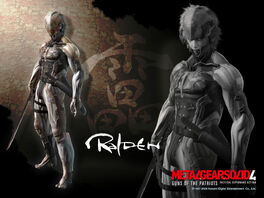 Raiden ninja