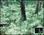 Saru 11