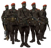 Ocelot Unit
