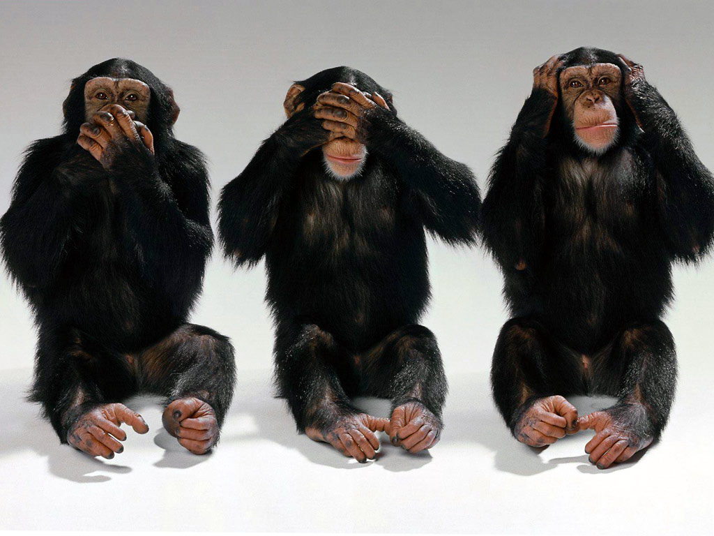 Hear-No-Evil-See-No-Evil-Speak-No-Evil.j