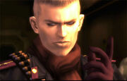 Young ocelot