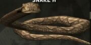 Reticulatedpython