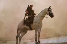 D-Horse
