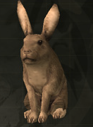 MGS3 Food European Rabbit