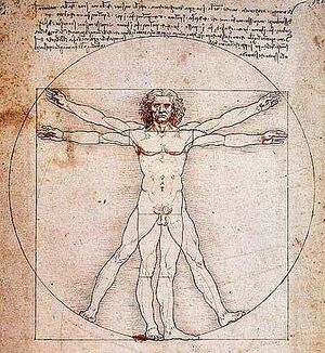 Mensch da vinci