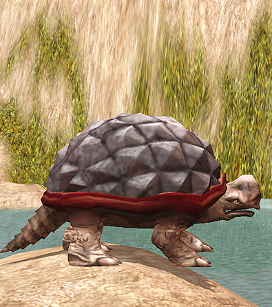 Giant Desert Tortoise