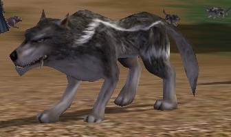 Lupo