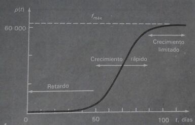 Funcion
