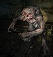 NosalisUndercityStandard