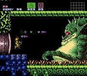 Kampf Kraid