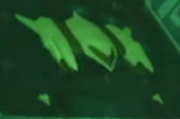 Bombing Run Command Visor