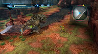 Mini-Boss Battle Dragotix MOM