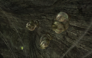 Splinter Cocoons