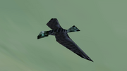 Chozo Ruins Bird