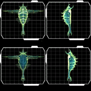 Parasite Queen Alien Fanon Wiki Fandom